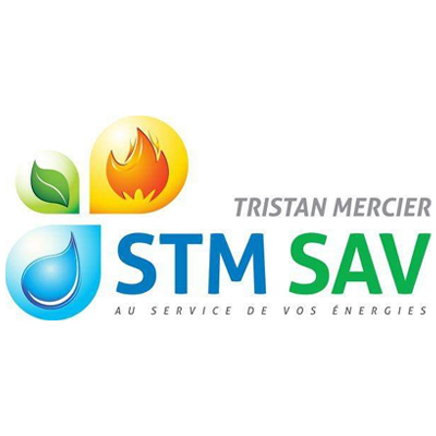logo-stm